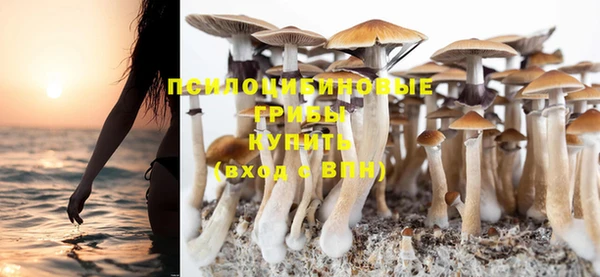 MDMA Аркадак