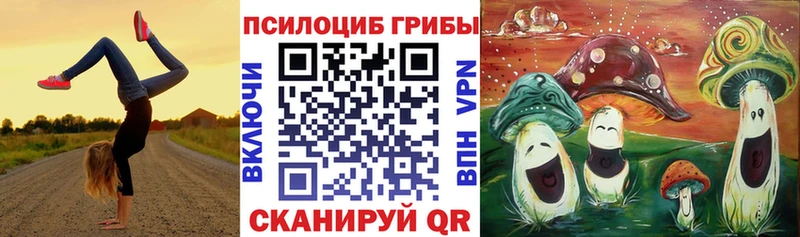 Галлюциногенные грибы Psilocybe  Сальск 
