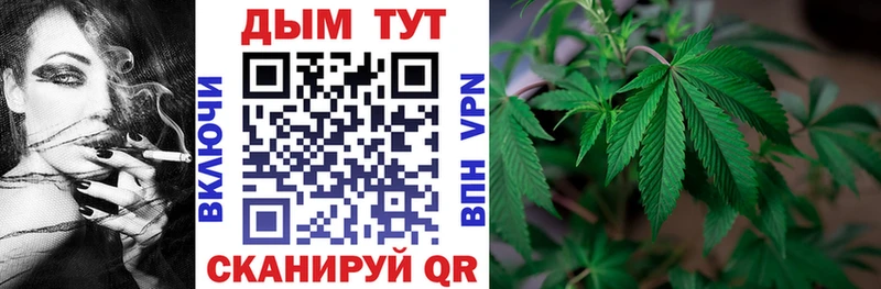 Марихуана индика  blacksprut сайт  Сальск  наркотики 